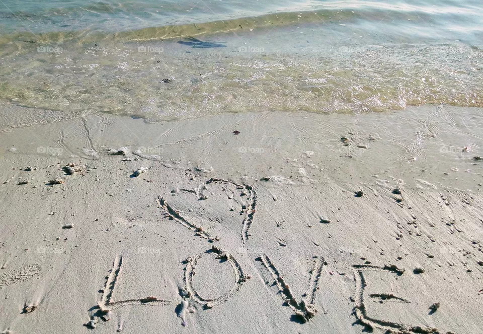 love