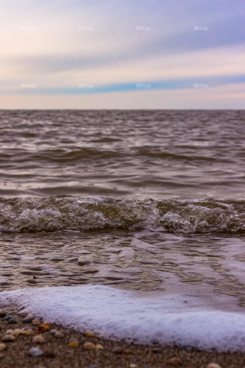 Sea