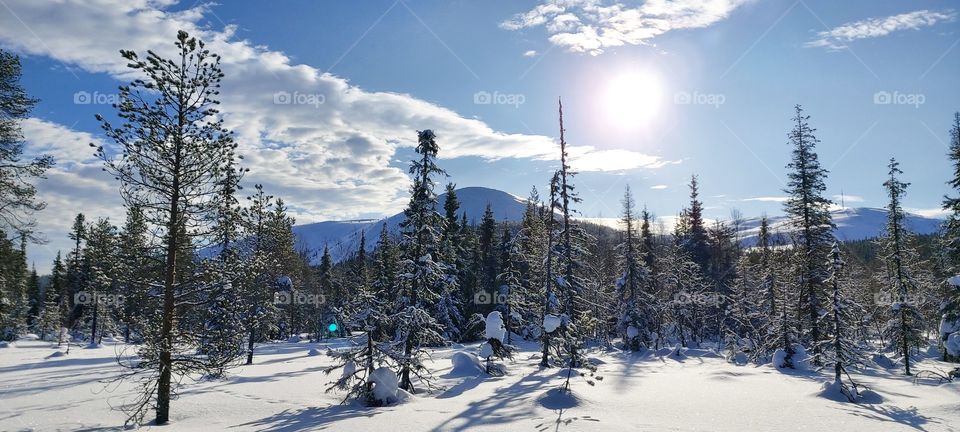 Finnish Lapland around Ylläs at its best in early March