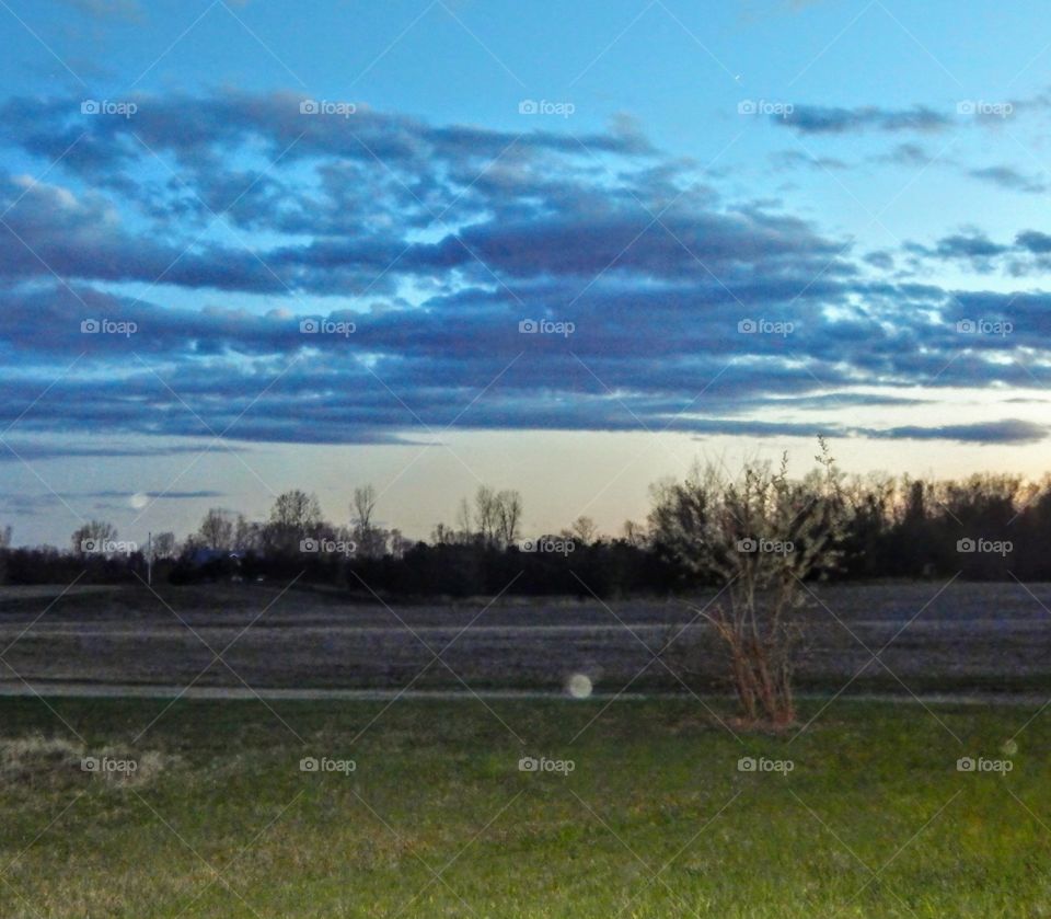 3 orbs in a field at sundown