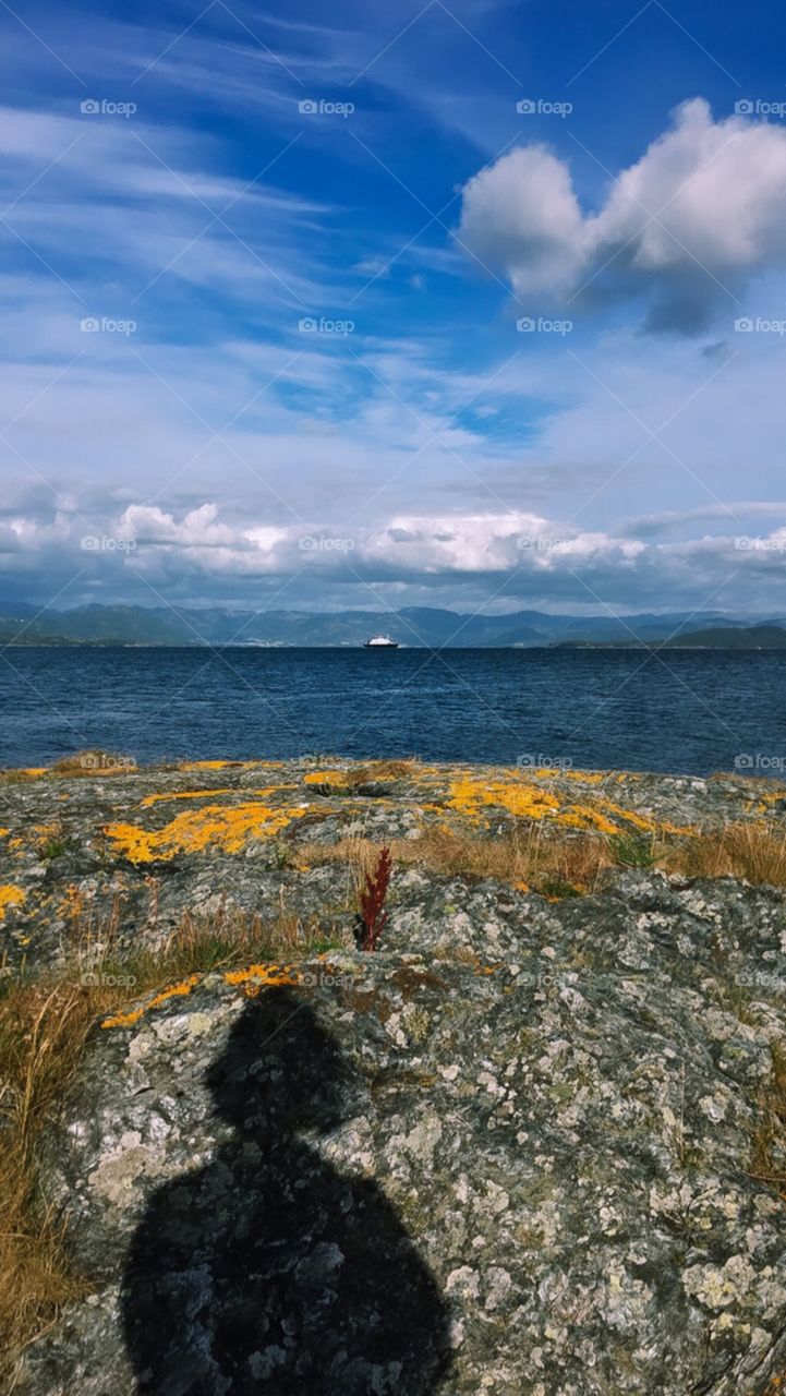 Shadow standing on the island looking at horizon.  