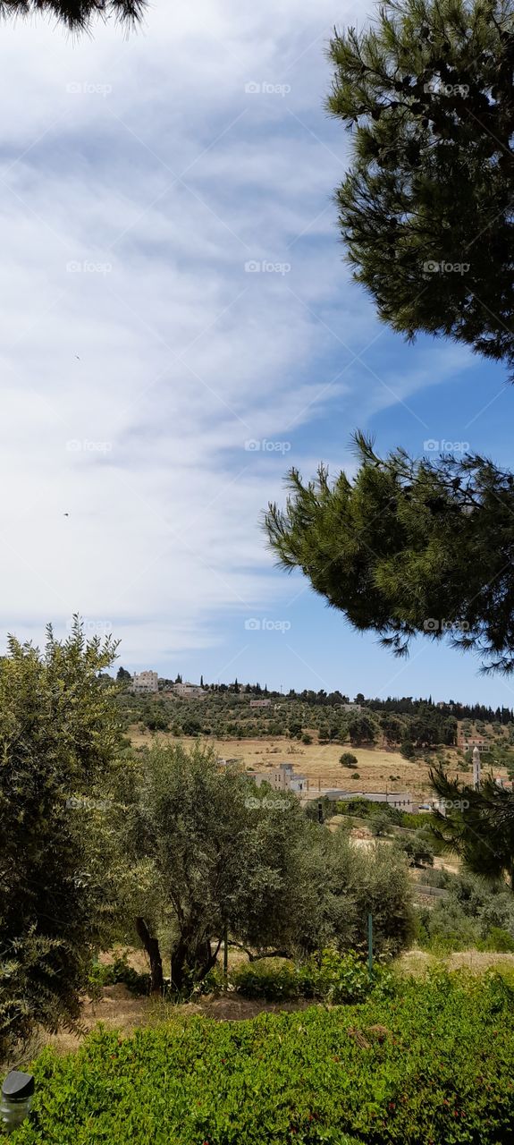 Nice place in Jordan 🇯🇴