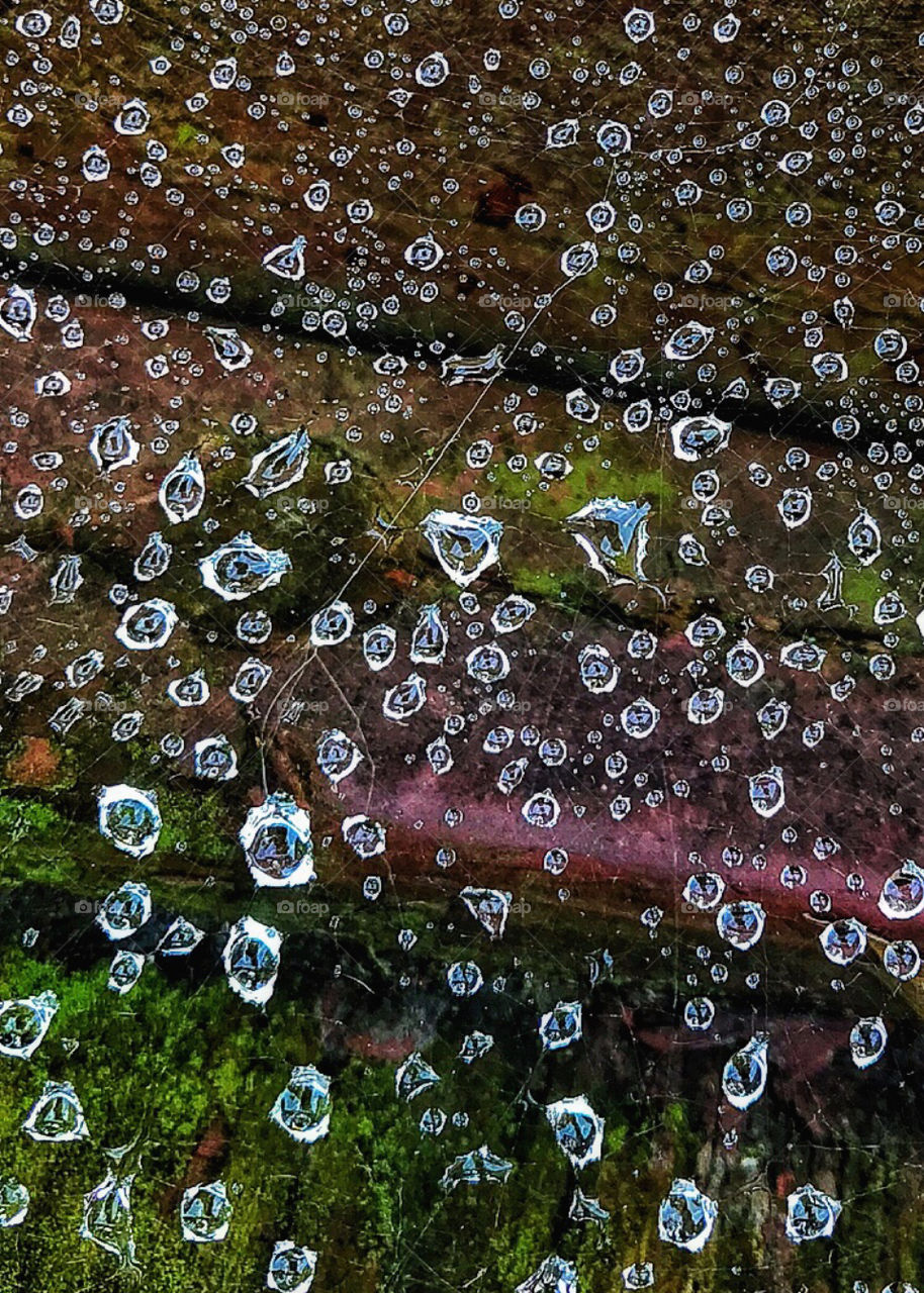 Water droplets on a spider’s web—taken in Dyer, Indiana 