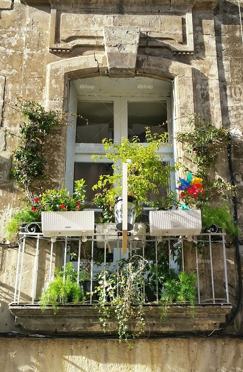 window and balcony