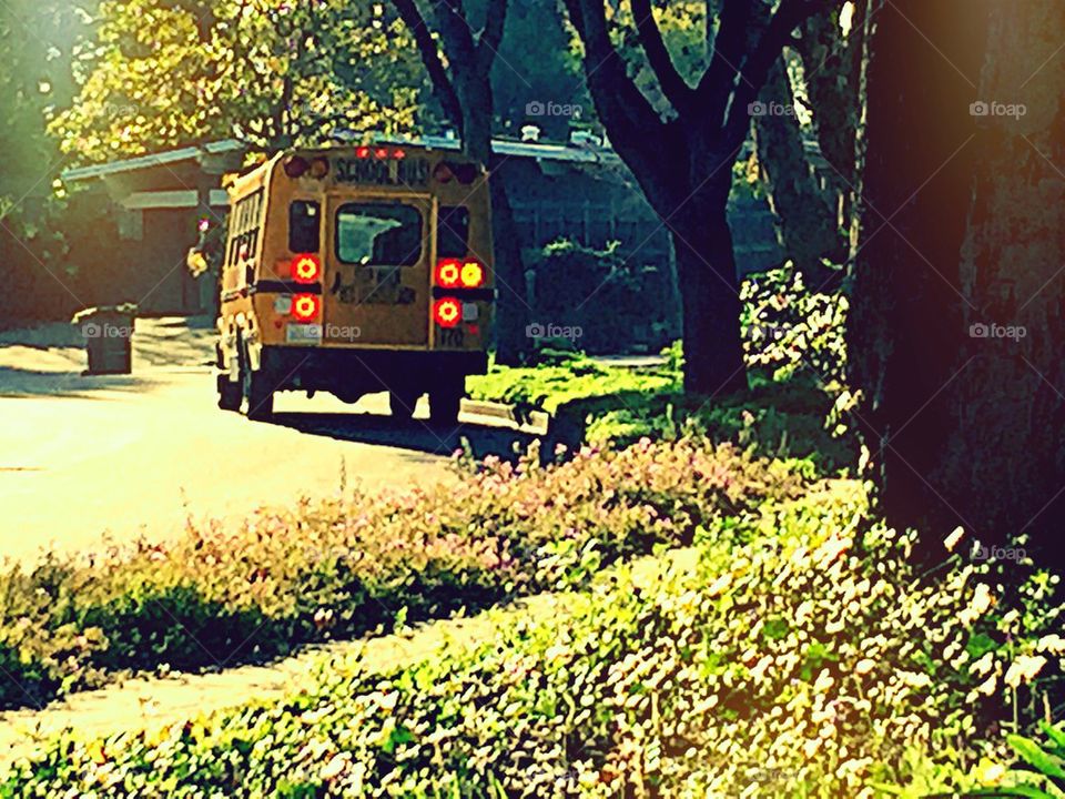 School bus on suburban street