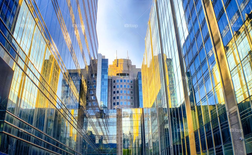 Blue sky and yellow sunrise light reflected in business office windows in the city