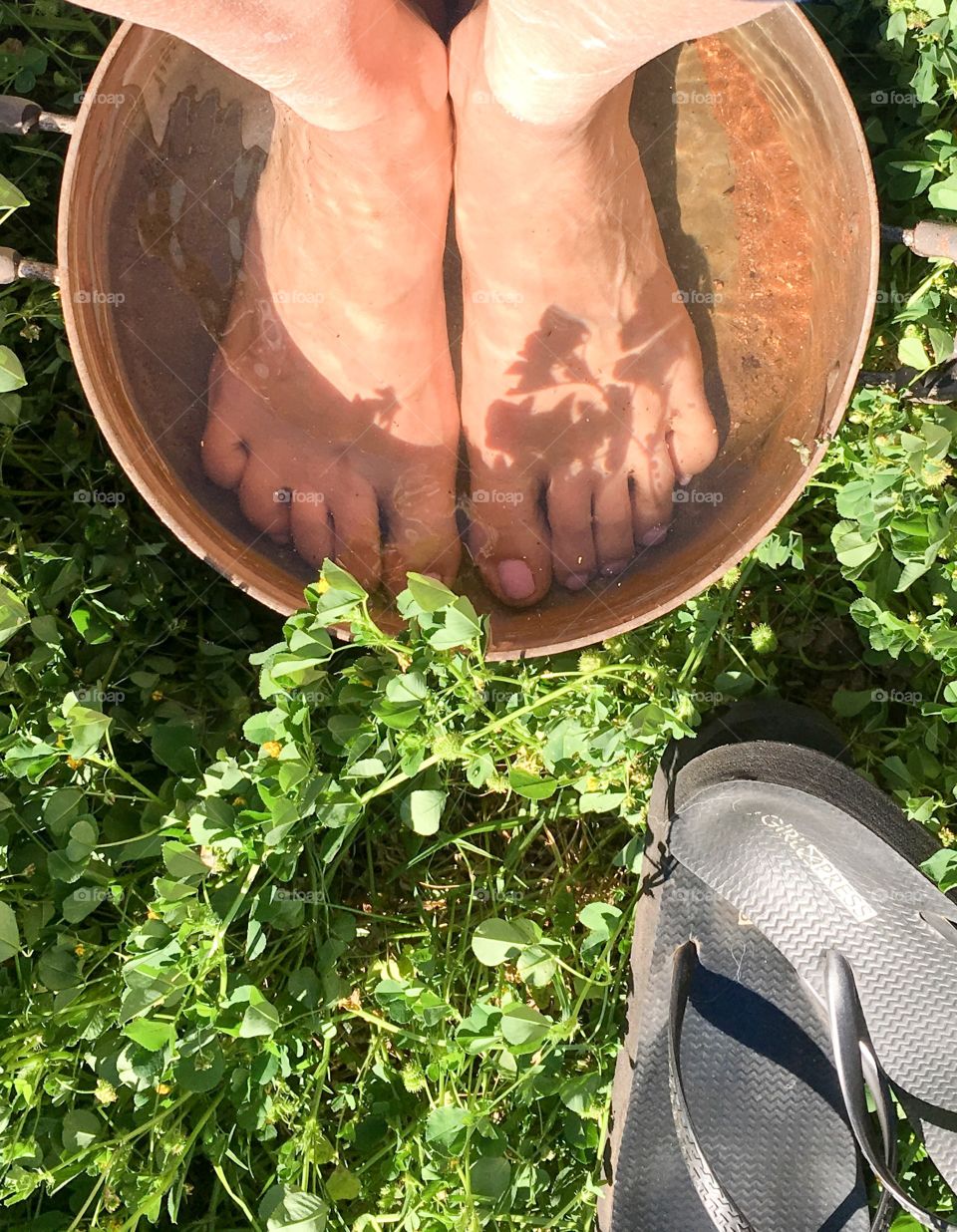 Cooling off on hot day in back yard feet in antique tin pot full of cool water set on grass and clover
