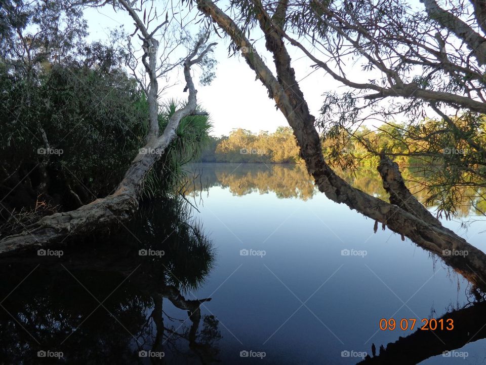 Kakadu billabong 