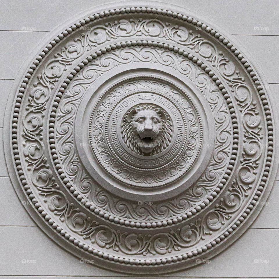 field Museum Lion on wall