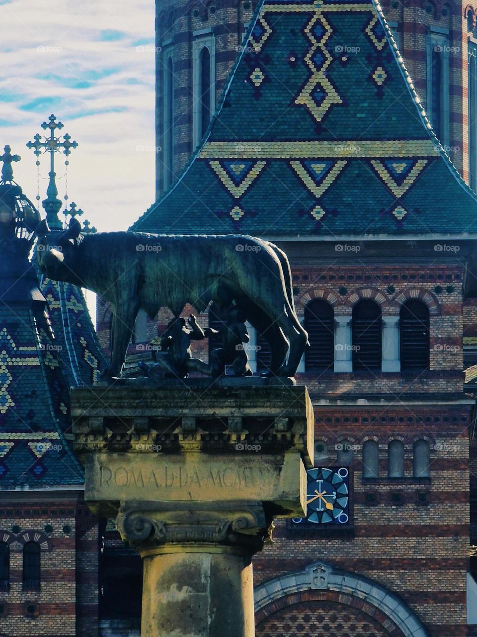 the metropolitan cathedral of Timisoara