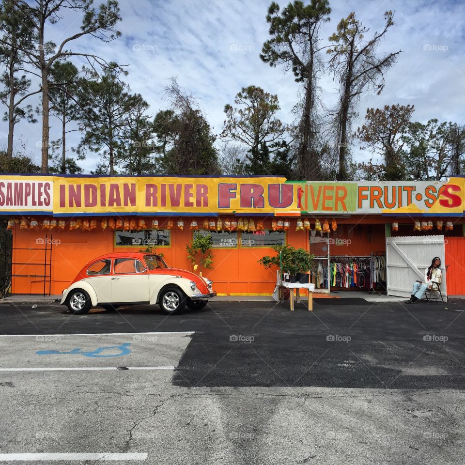 Fresh Florida Oranges