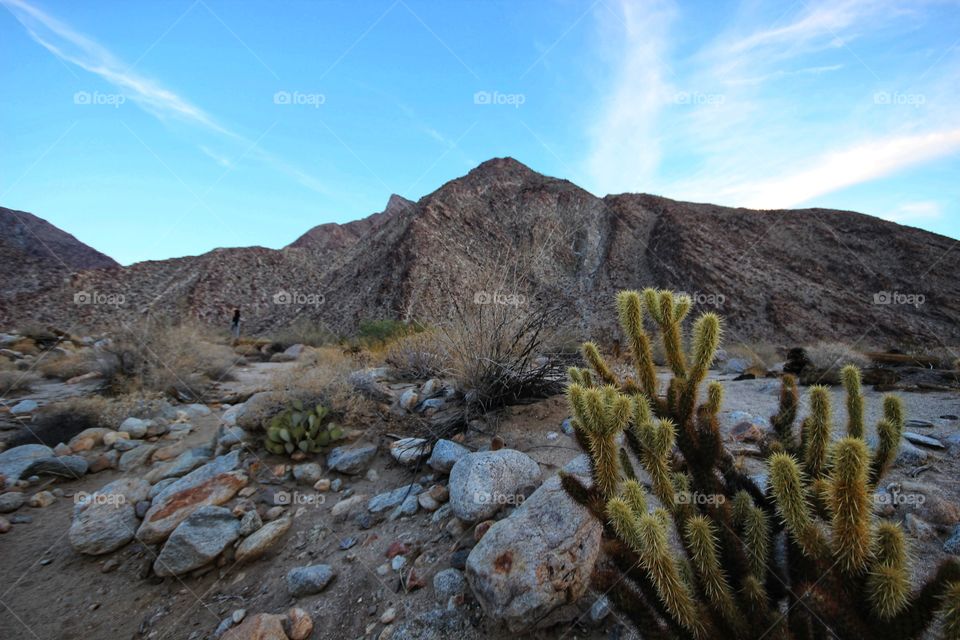 Fall hike, San Diego