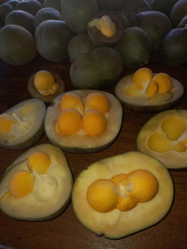 PEQUI NA CASCA.