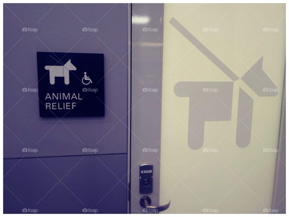 Animal Relief Station