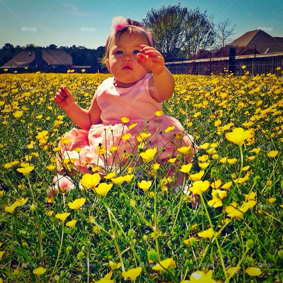 Baby in field of yellow flowers 