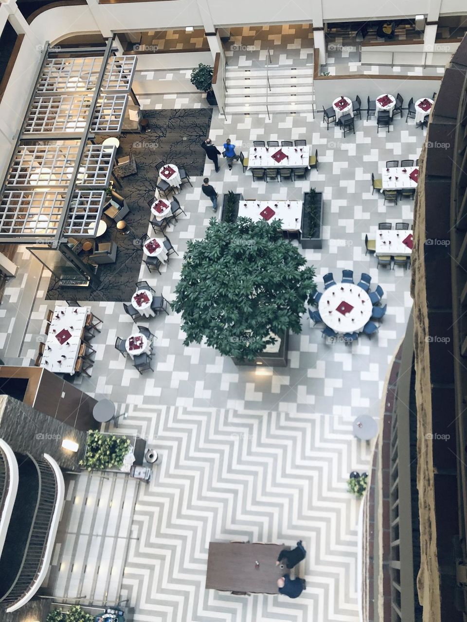 Plants in Hotel from Above