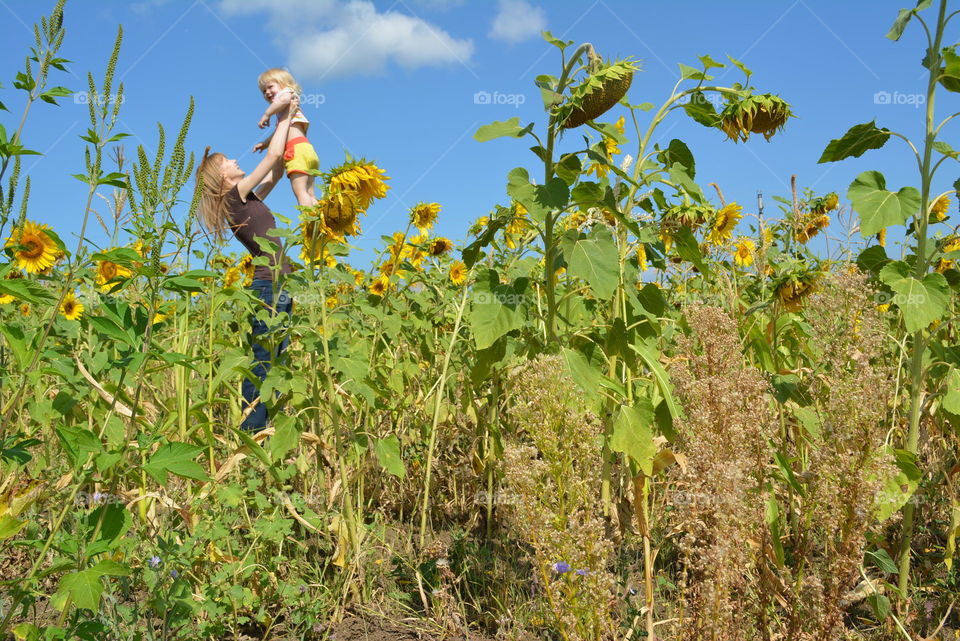 Mother and daughter. Playing in sunflower field