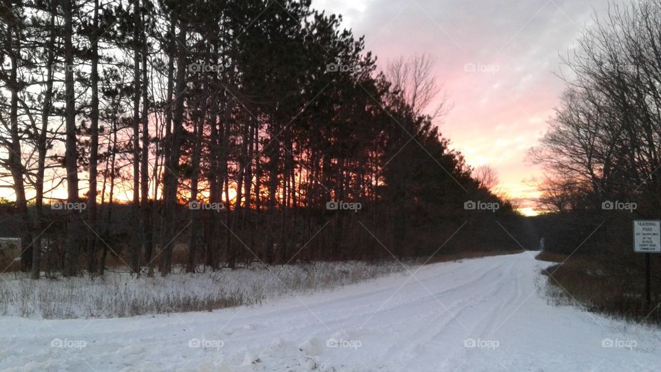 Northern Michigan 