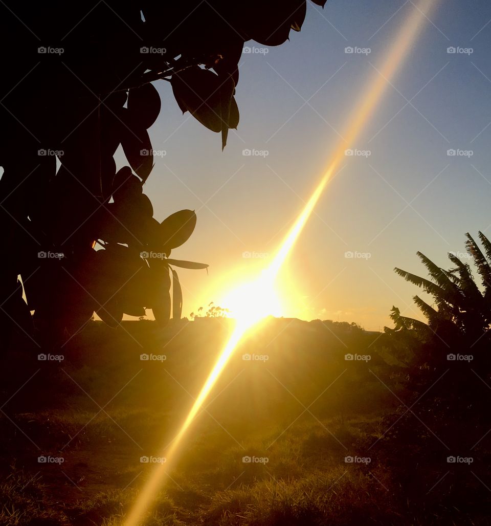 The very beautiful dawn in the interior of Brazil, bringing inspiration to us all! / O amanhecer muito bonito no interior do Brasil, trazendo para todos nós a inspiração!