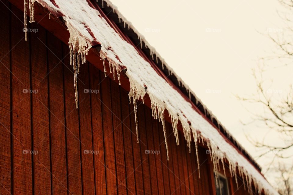 Icicles on the barn roof 