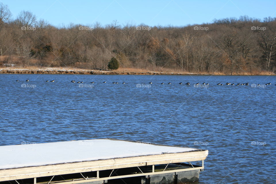 Lake in winter 