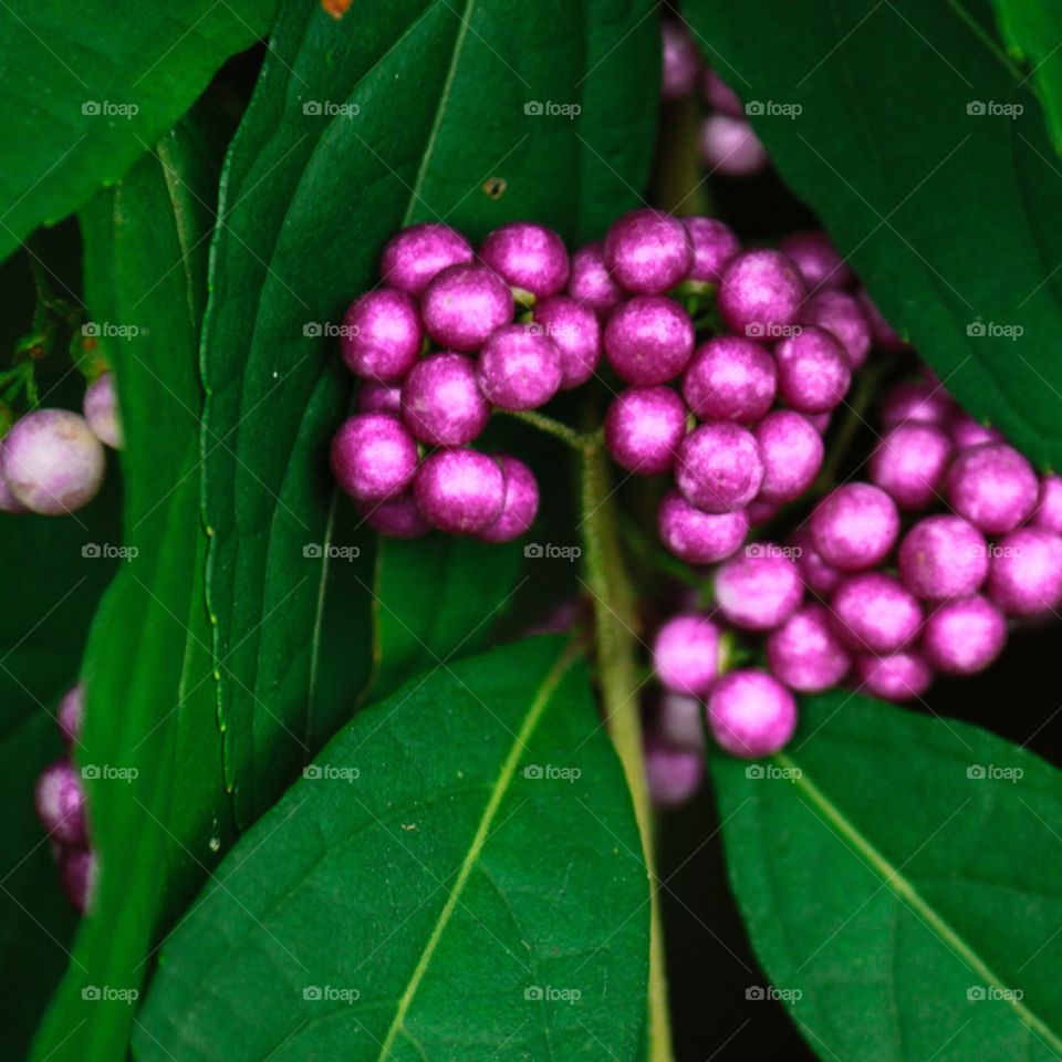 Look but do not touch