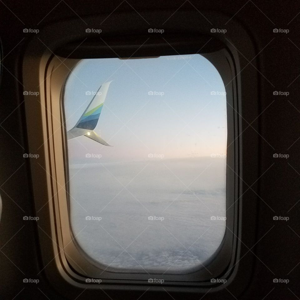 Window Seat