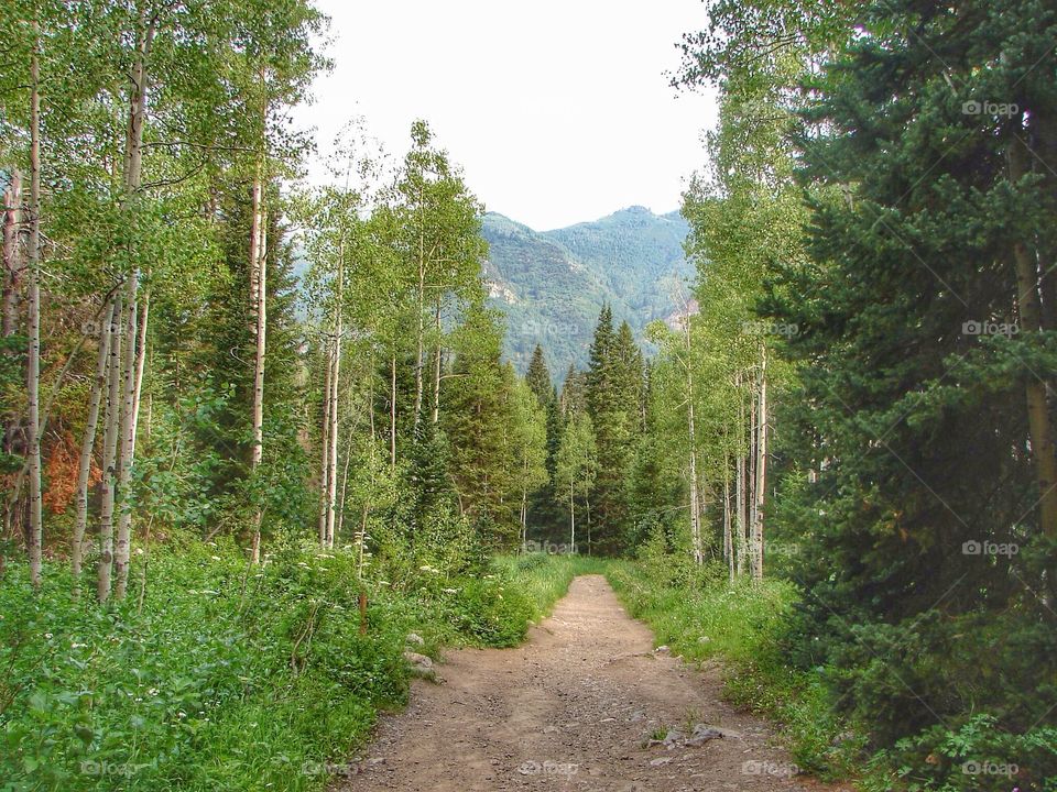 Mountain trail