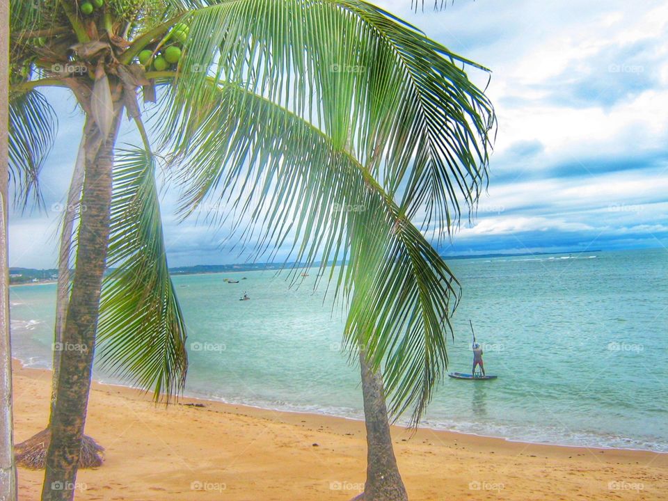 praia pescador coqueiro Maceió Alagoas