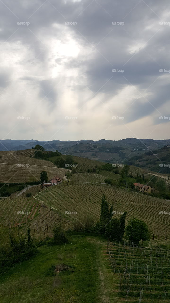 Italy, Langhe hills, Unesco