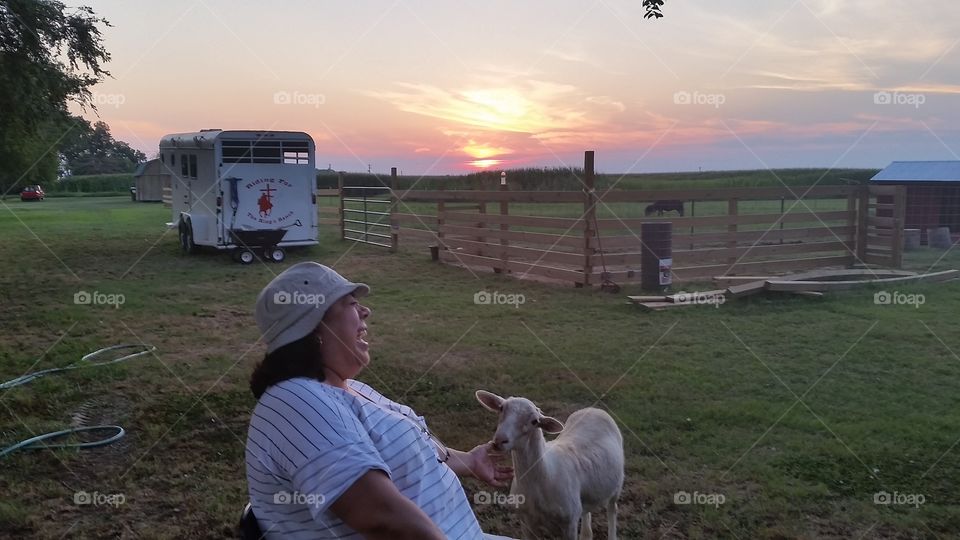 Sunset with Lana the lamb