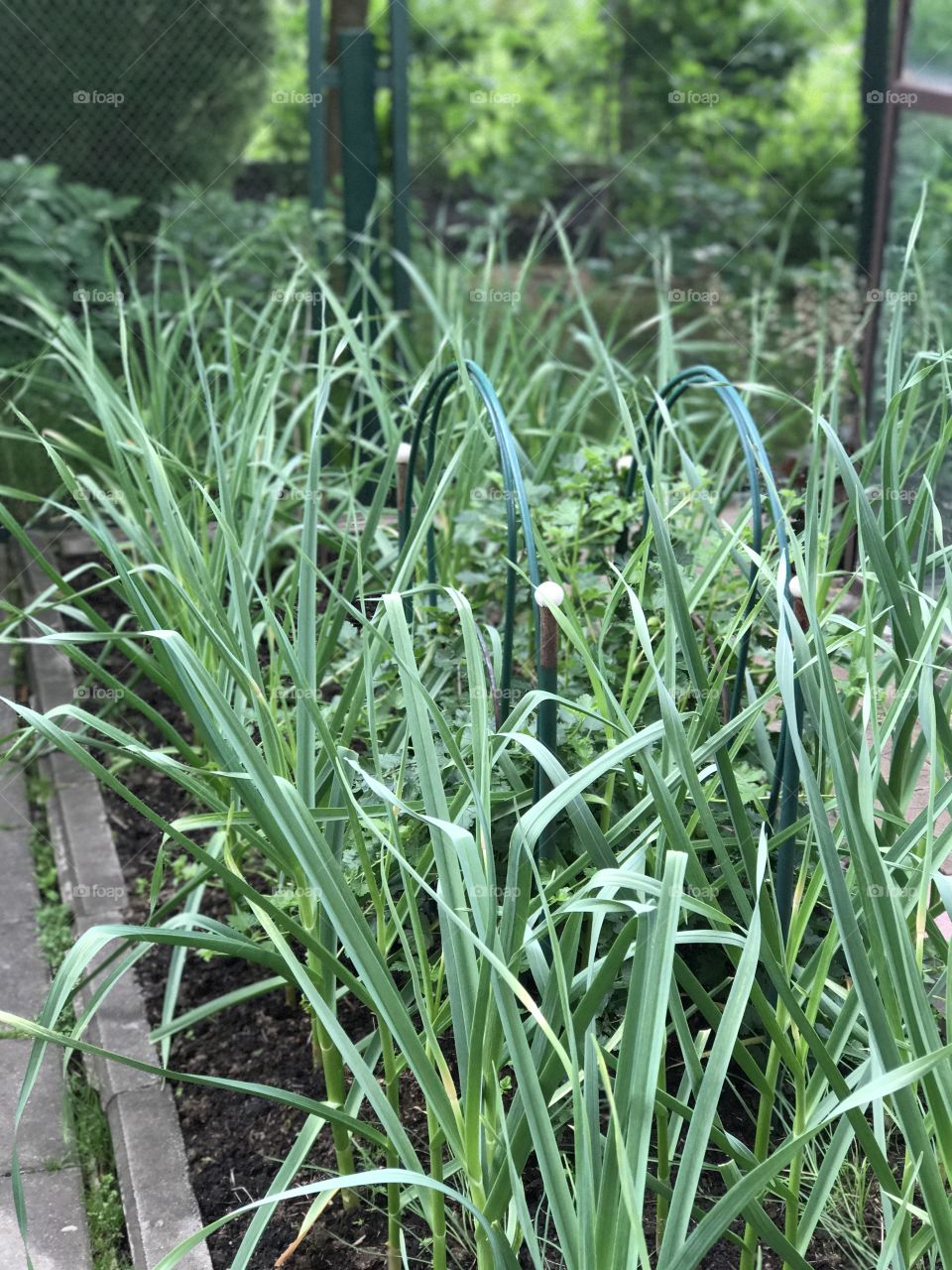 Garden bed