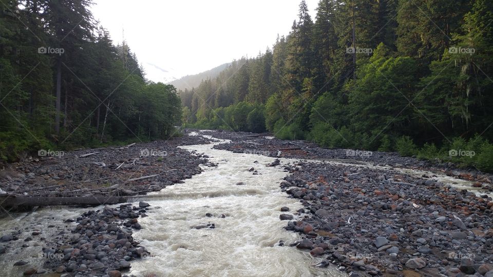 Fresh off the mountain