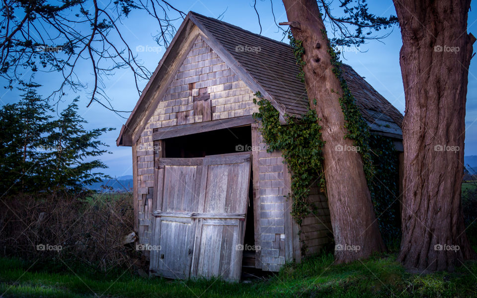 Shack. An abandoned shack on the side of the road.