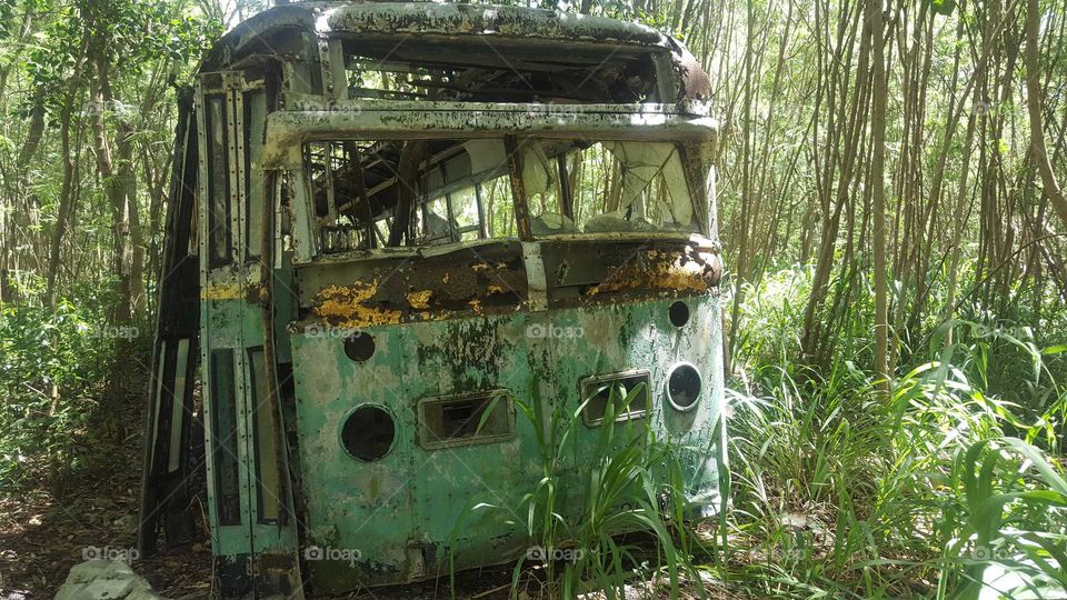 Old abandoned bus in the woods