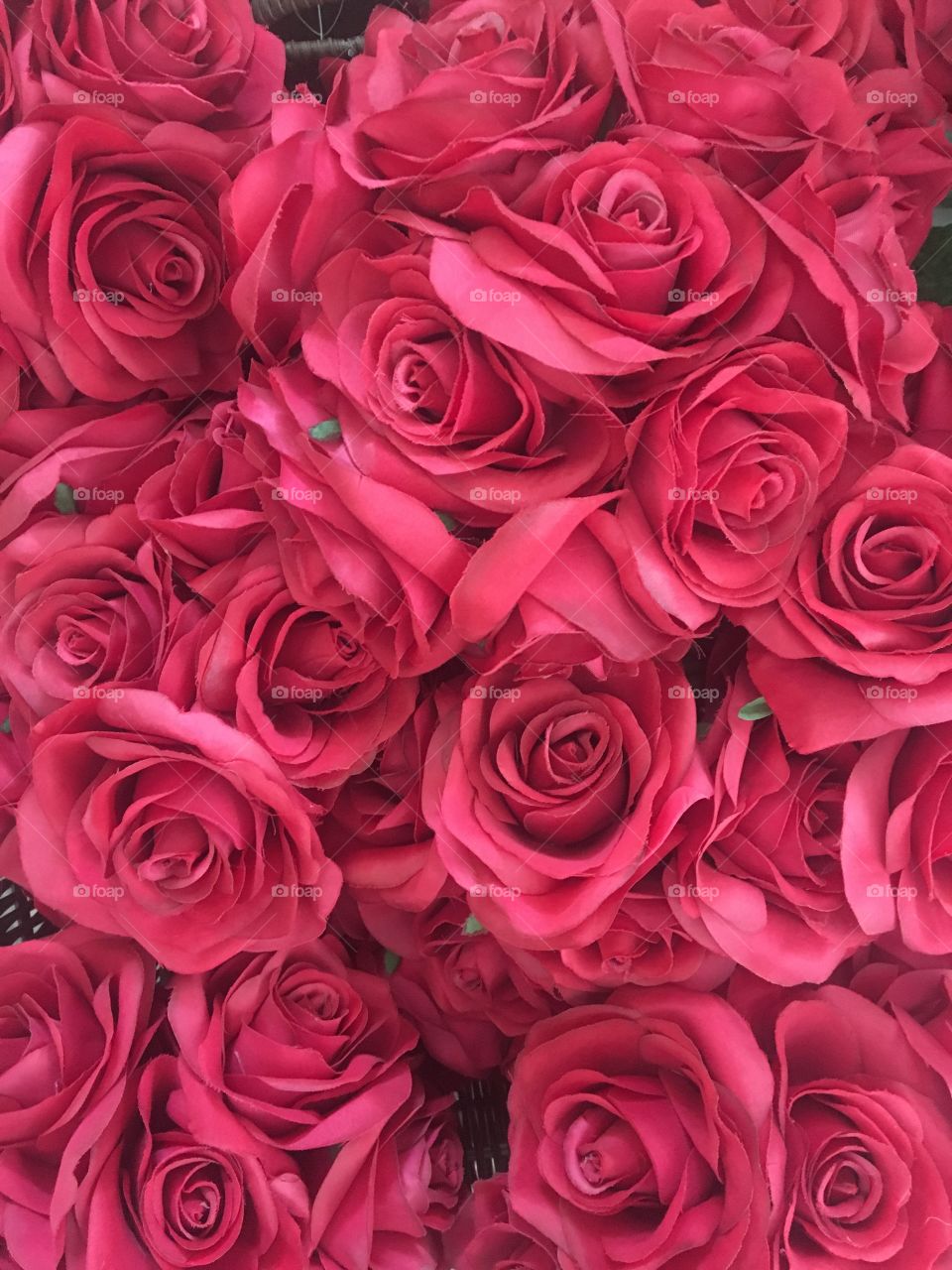 Red roses on the background