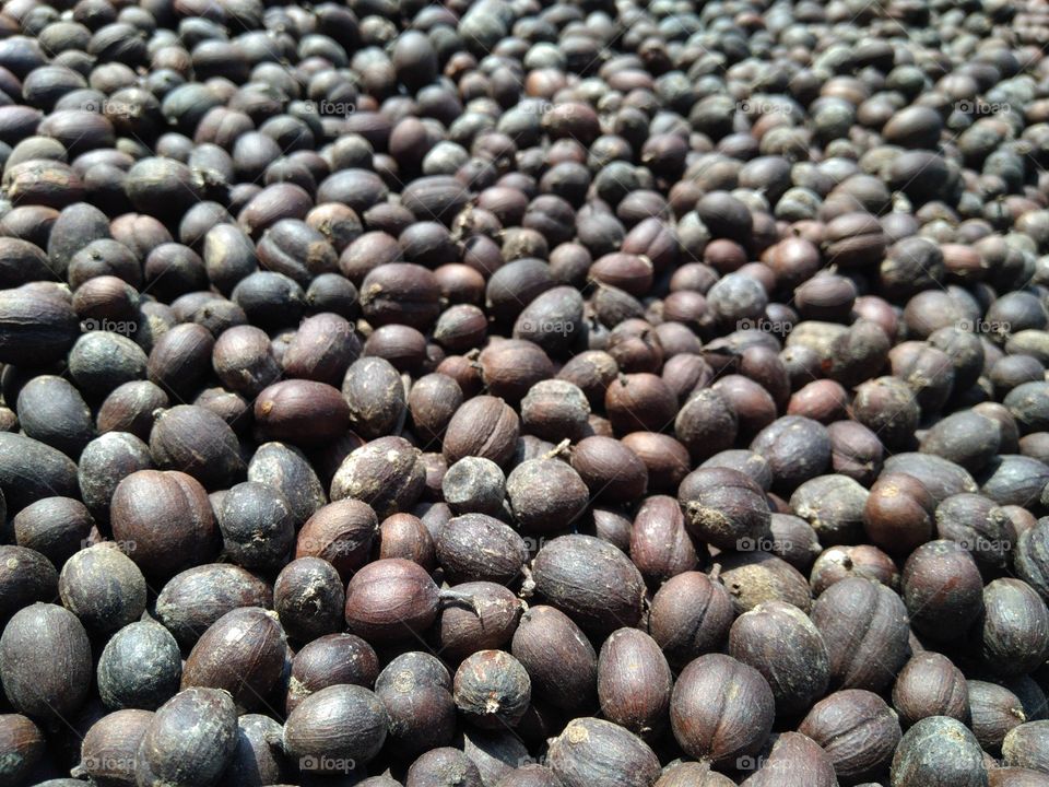 coffee beans