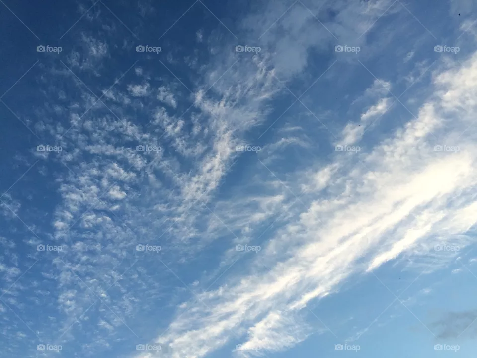 Sky