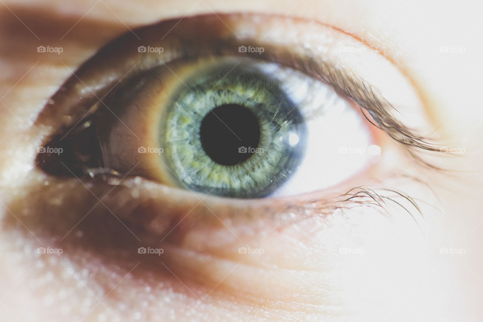 Beautiful and detailed close-up of an aqua or turquoise eye