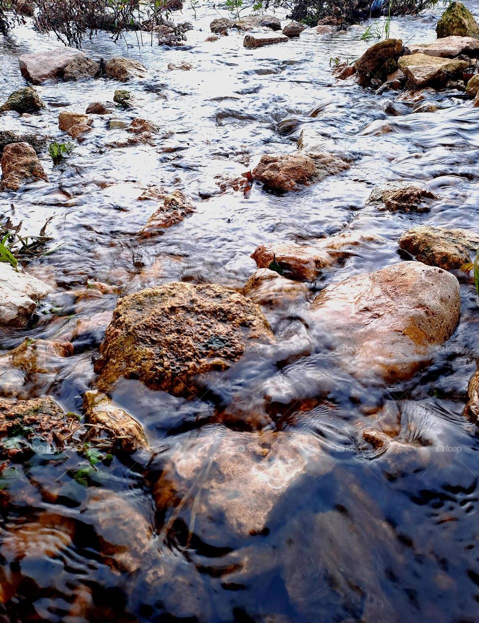 In my town there is a stream and I took a photo of it