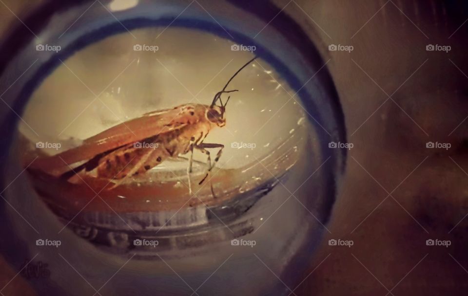 When you take rest a while