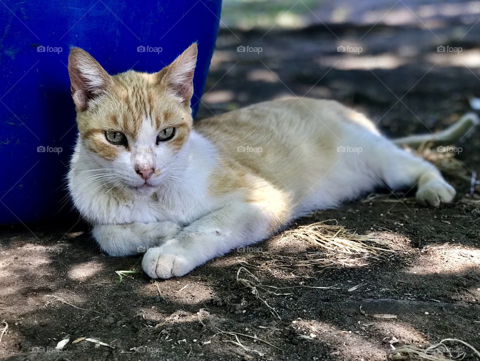 Be patient at all time 