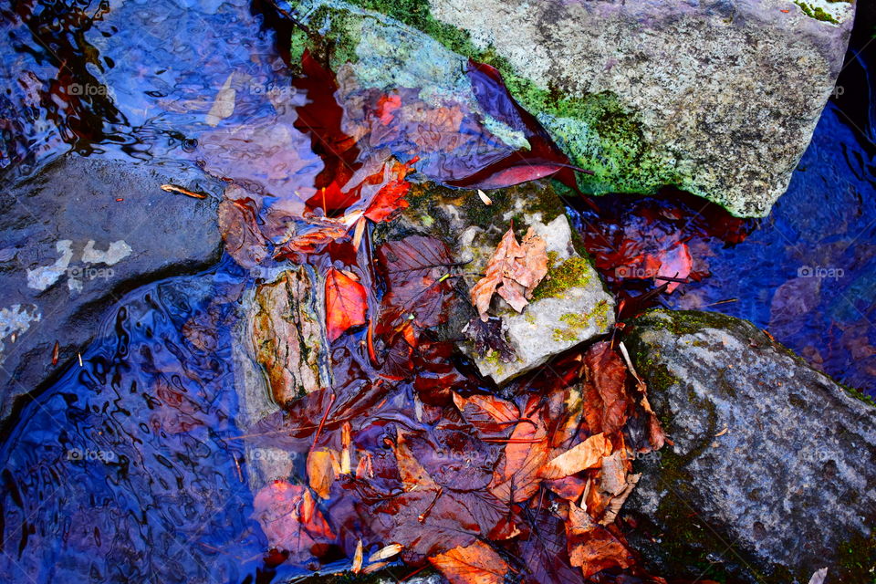 Look down at the path in front of you.. you don't want to slip up!