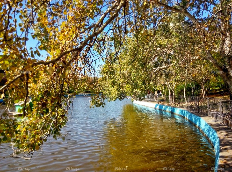 park lake trees парк озер