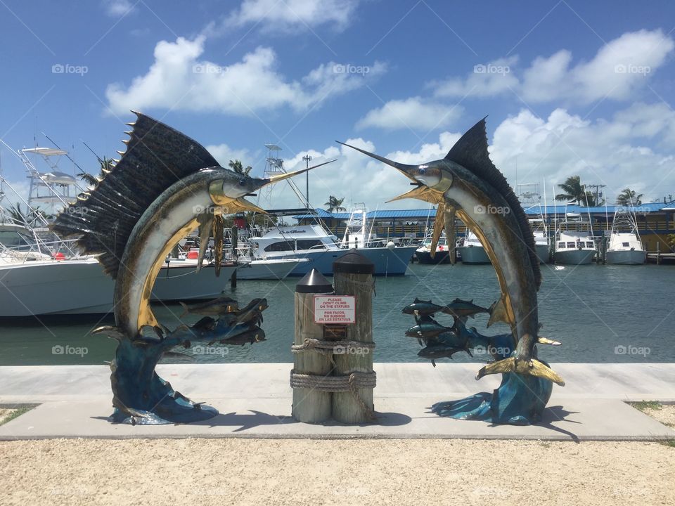 Whale Harbor Marina, Islamorada 