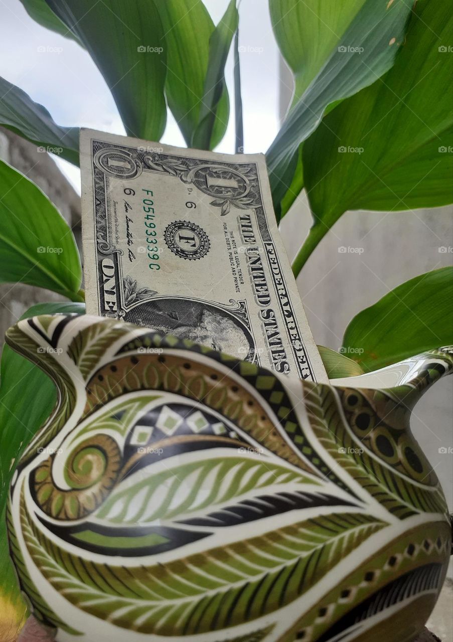 one dollar with green