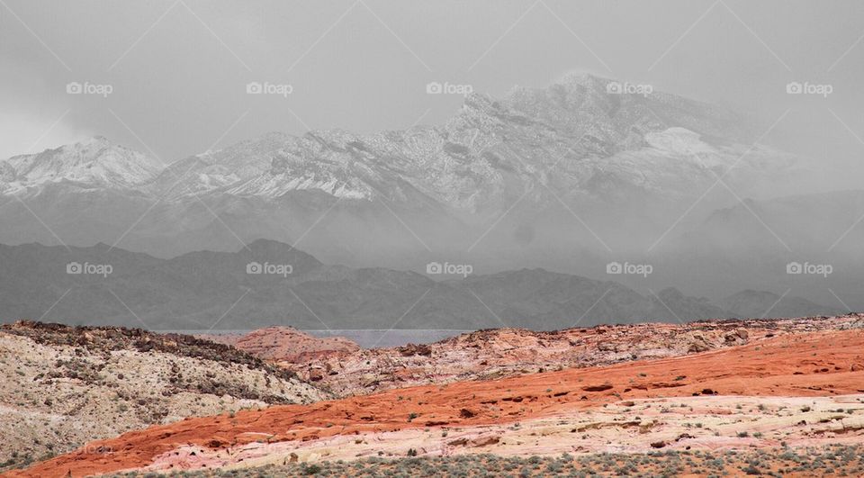 View of desert during winter