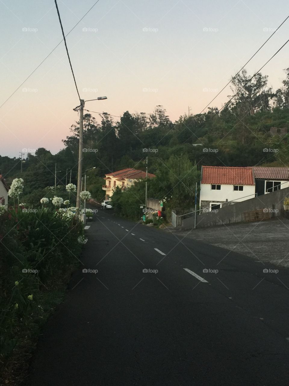 Road in the village