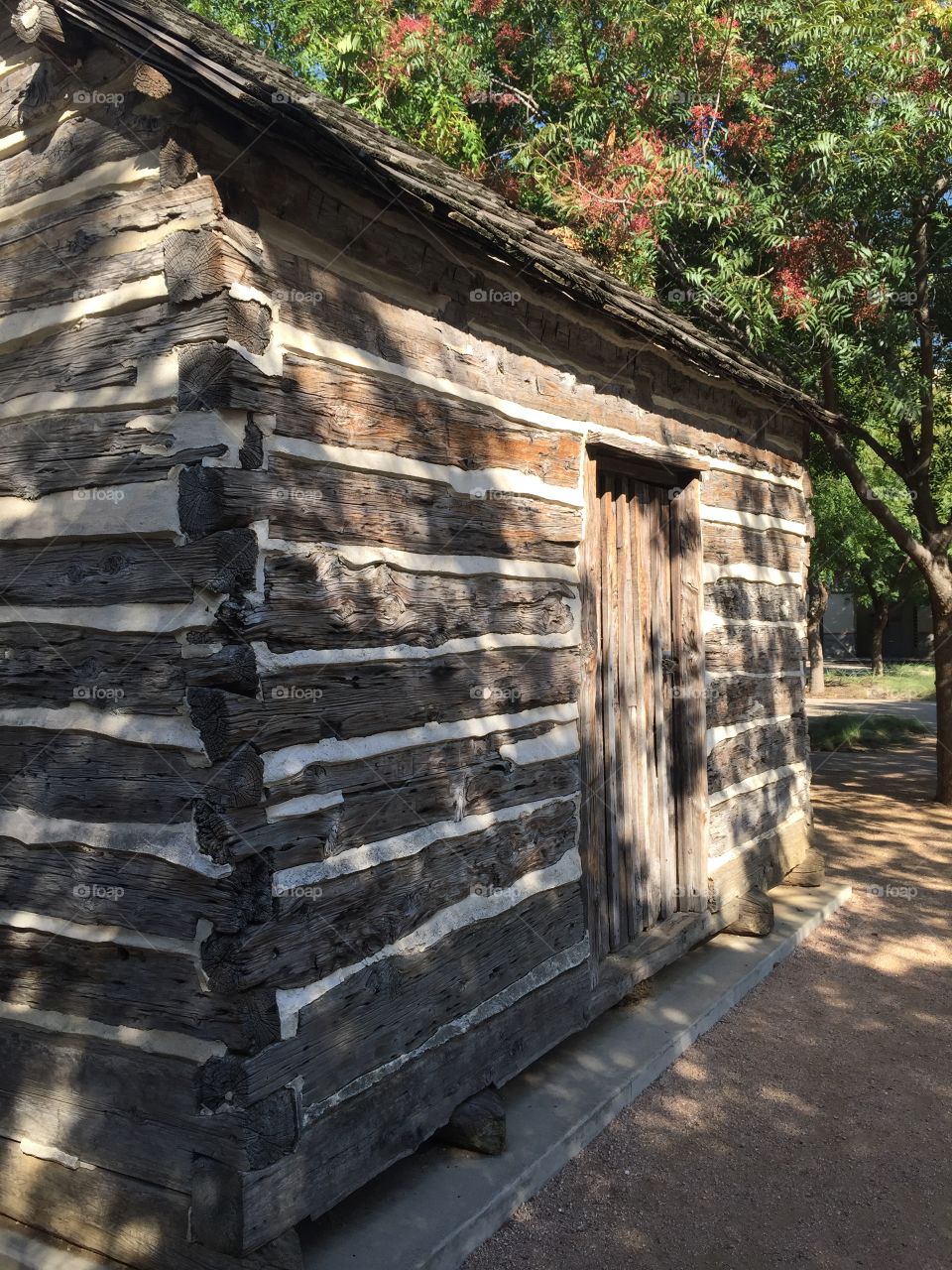 Dallas log cabin
