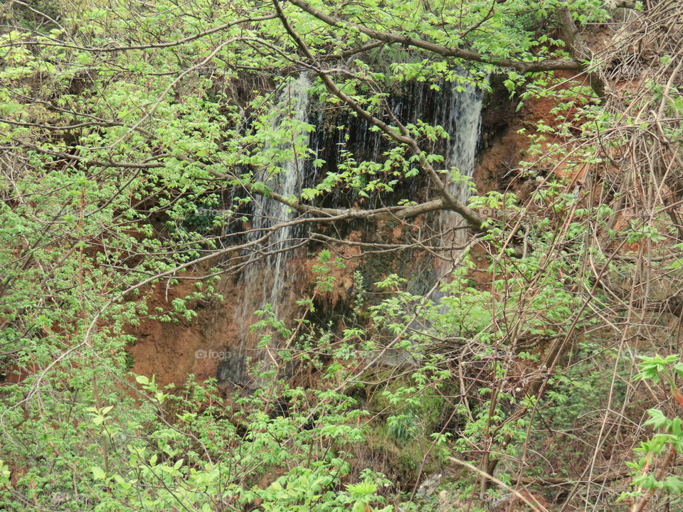 Waterfall in dense forrest